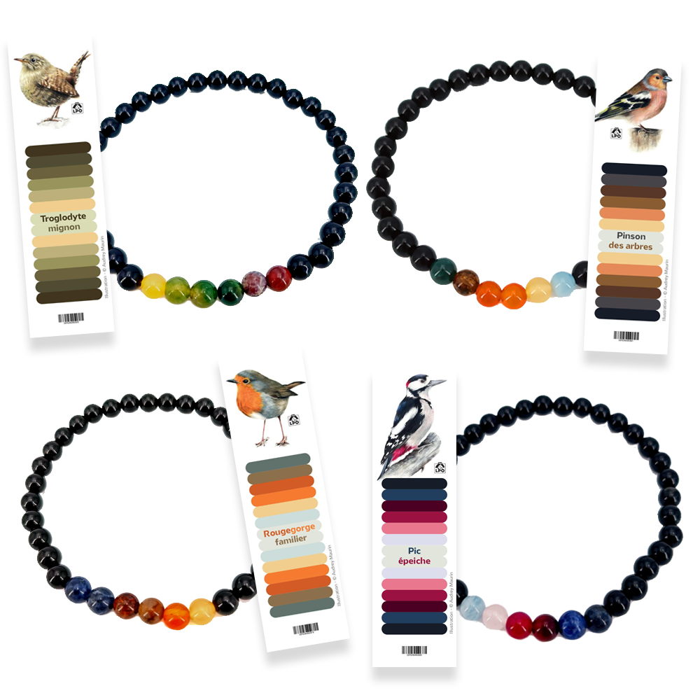 Bracelets LPO Perles de Plume